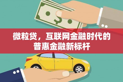 夏邑微粒贷，互联网金融时代的普惠金融新标杆
