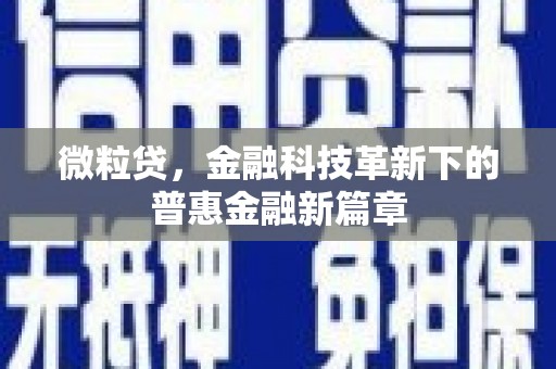 夏邑微粒贷，金融科技革新下的普惠金融新篇章