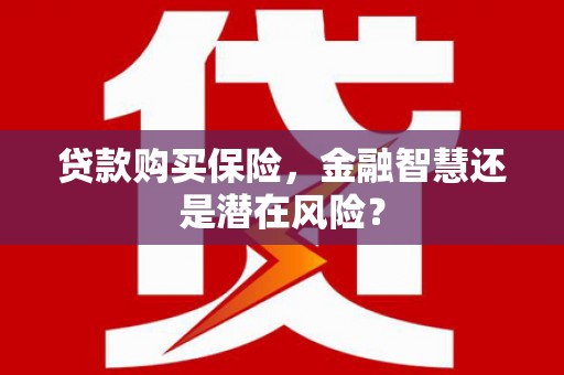 夏邑贷款购买保险，金融智慧还是潜在风险？