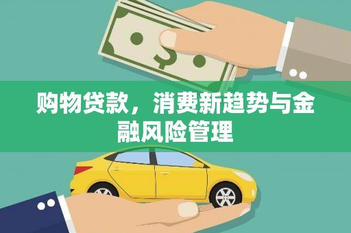 夏邑购物贷款，消费新趋势与金融风险管理
