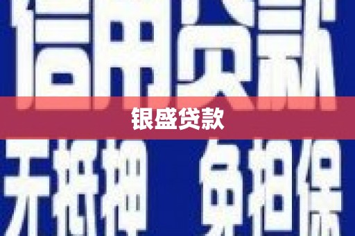 夏邑银盛贷款