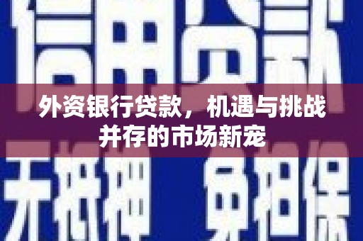 夏邑外资银行贷款，机遇与挑战并存的市场新宠