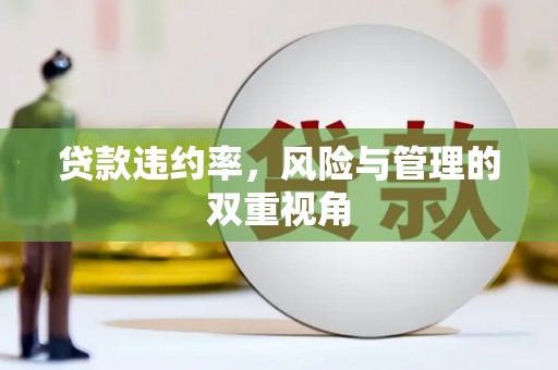 夏邑贷款违约率，风险与管理的双重视角
