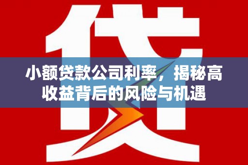 夏邑小额贷款公司利率，揭秘高收益背后的风险与机遇