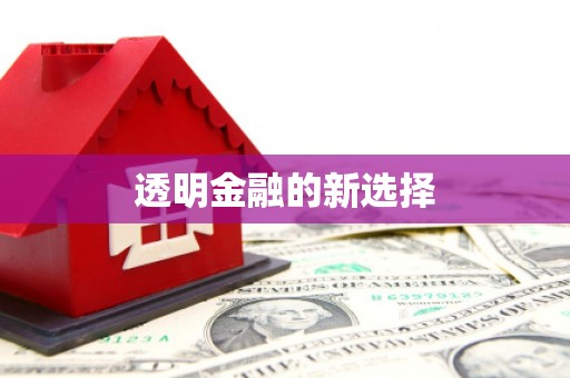 夏邑透明金融的新选择