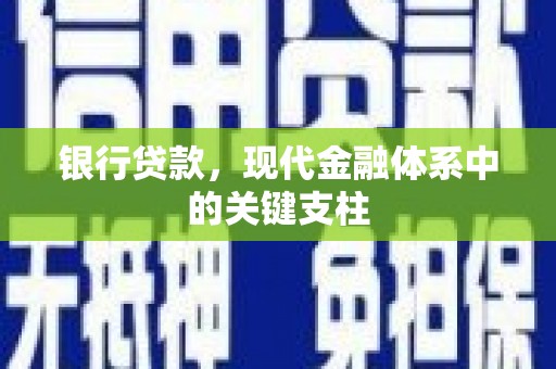 夏邑银行贷款，现代金融体系中的关键支柱