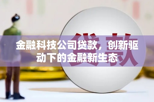 夏邑金融科技公司贷款，创新驱动下的金融新生态