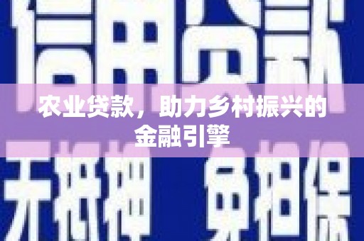 夏邑农业贷款，助力乡村振兴的金融引擎