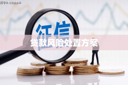 夏邑贷款风险处置方案