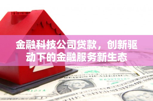 夏邑金融科技公司贷款，创新驱动下的金融服务新生态