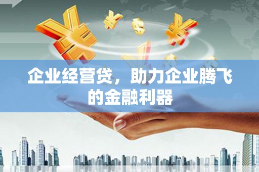 夏邑企业经营贷，助力企业腾飞的金融利器
