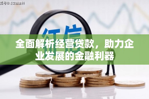 夏邑全面解析经营贷款，助力企业发展的金融利器