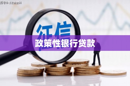 夏邑政策性银行贷款