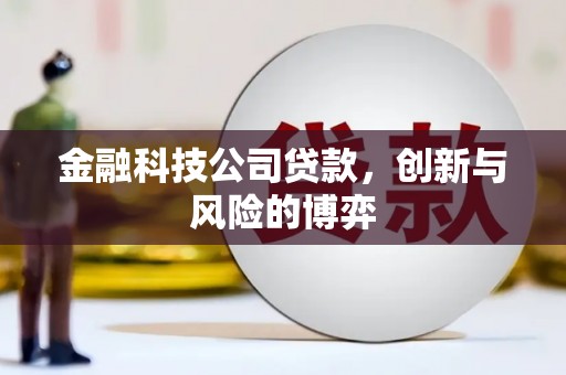 夏邑金融科技公司贷款，创新与风险的博弈