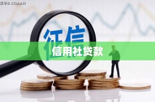 夏邑信用社贷款