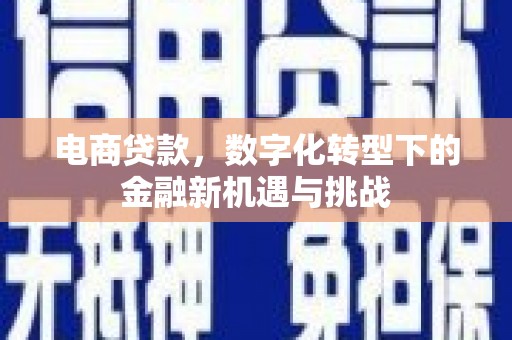夏邑电商贷款，数字化转型下的金融新机遇与挑战