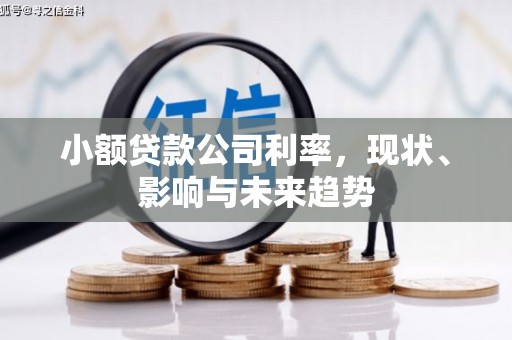 夏邑小额贷款公司利率，现状、影响与未来趋势