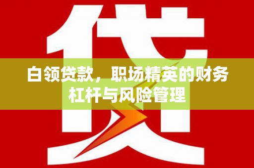 夏邑白领贷款，职场精英的财务杠杆与风险管理