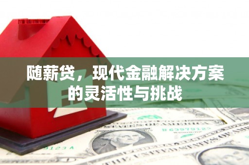 夏邑随薪贷，现代金融解决方案的灵活性与挑战