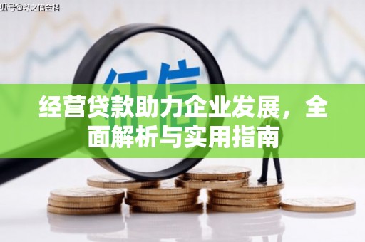 夏邑经营贷款助力企业发展，全面解析与实用指南
