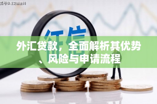 夏邑外汇贷款，全面解析其优势、风险与申请流程