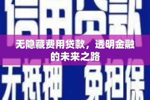 夏邑无隐藏费用贷款，透明金融的未来之路