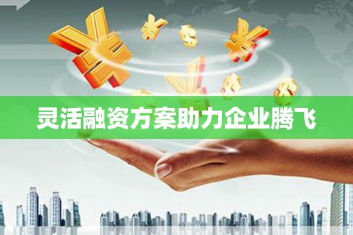夏邑灵活融资方案助力企业腾飞