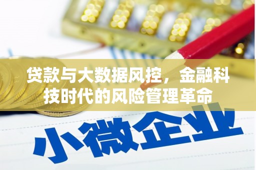 夏邑贷款与大数据风控，金融科技时代的风险管理革命