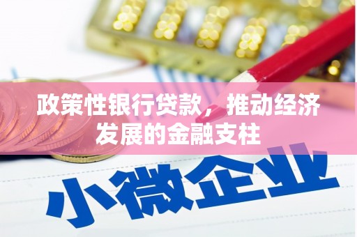 夏邑政策性银行贷款，推动经济发展的金融支柱
