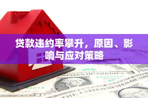夏邑贷款违约率攀升，原因、影响与应对策略