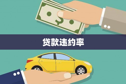 夏邑贷款违约率