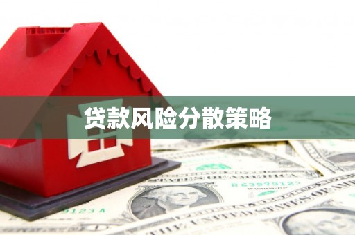 夏邑贷款风险分散策略