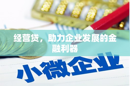 夏邑经营贷，助力企业发展的金融利器