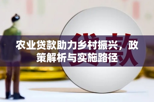 夏邑农业贷款助力乡村振兴，政策解析与实施路径