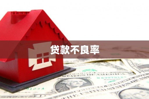 夏邑贷款不良率