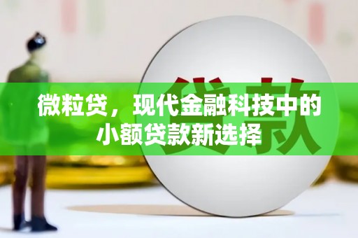 夏邑微粒贷，现代金融科技中的小额贷款新选择