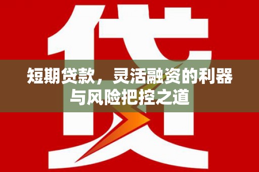 夏邑短期贷款，灵活融资的利器与风险把控之道