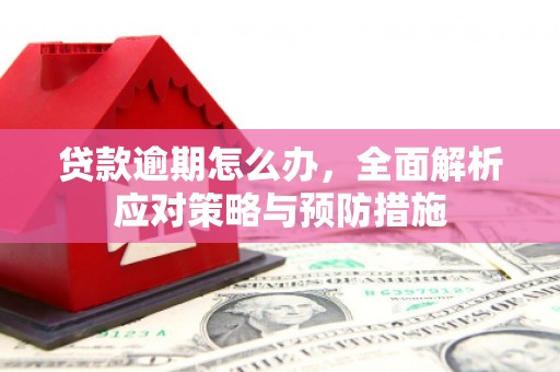 夏邑贷款逾期怎么办，全面解析应对策略与预防措施