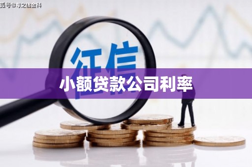 夏邑小额贷款公司利率