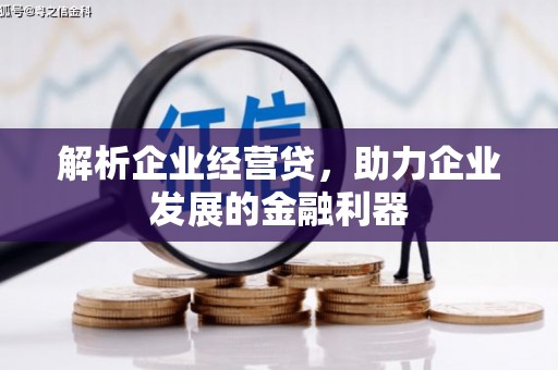 夏邑解析企业经营贷，助力企业发展的金融利器