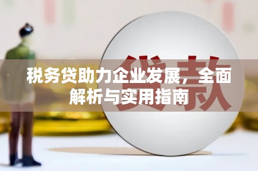 夏邑税务贷助力企业发展，全面解析与实用指南