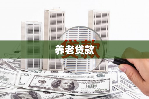 夏邑养老贷款