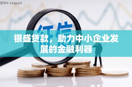 夏邑银盛贷款，助力中小企业发展的金融利器