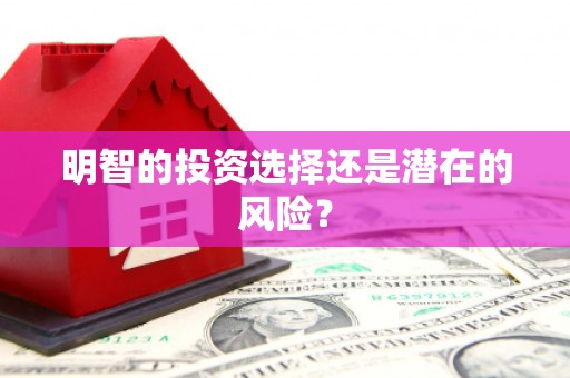 夏邑明智的投资选择还是潜在的风险？