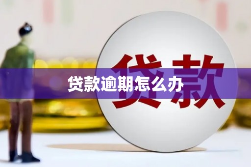 夏邑贷款逾期怎么办