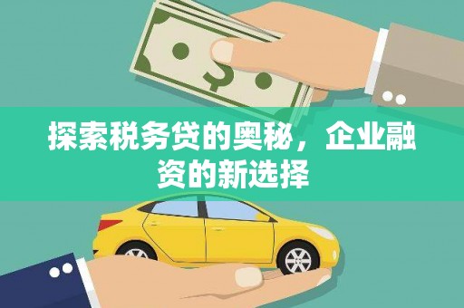 夏邑探索税务贷的奥秘，企业融资的新选择