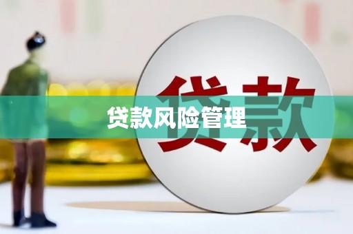 夏邑贷款风险管理
