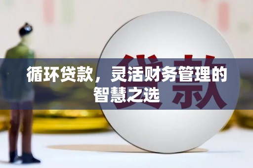 夏邑循环贷款，灵活财务管理的智慧之选