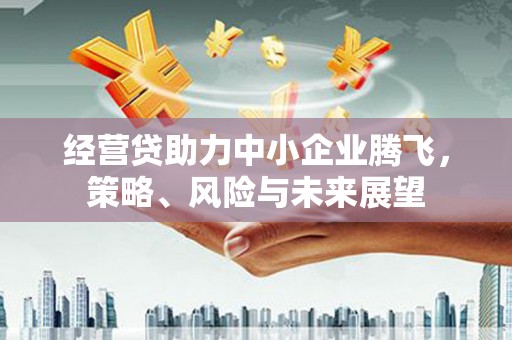 夏邑经营贷助力中小企业腾飞，策略、风险与未来展望