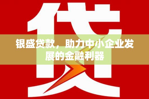 夏邑银盛贷款，助力中小企业发展的金融利器
